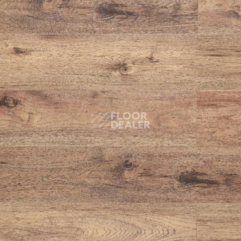 Кварцвиниловые полы Aquafloor Space AF4039SPC фото 1 | FLOORDEALER