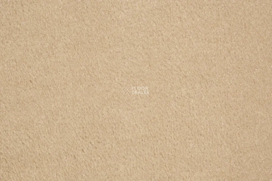 Vorwerk Passion 1000/Modena Vorwerk 8a80 фото 2 | FLOORDEALER