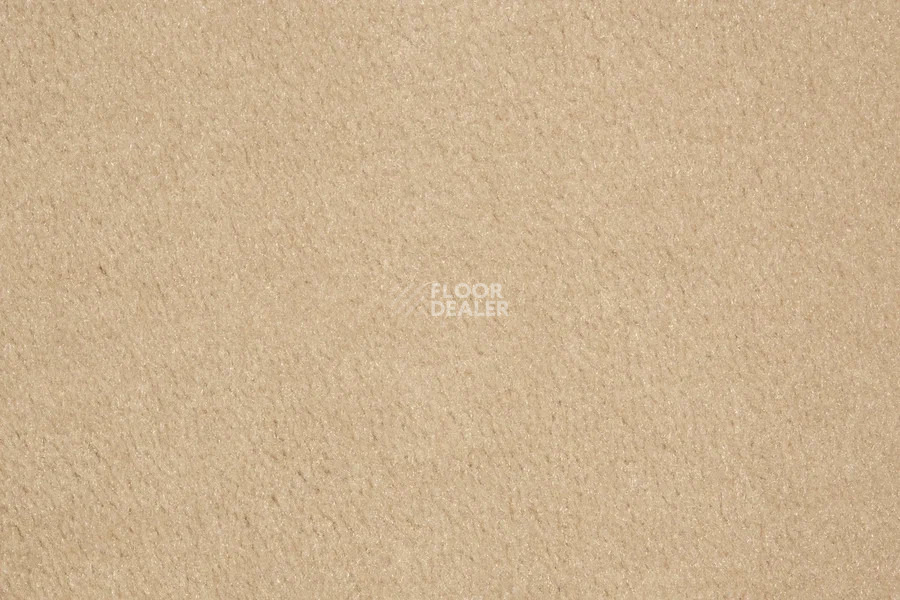 Vorwerk Passion 1000/Modena Vorwerk 8a80 фото 2 | FLOORDEALER