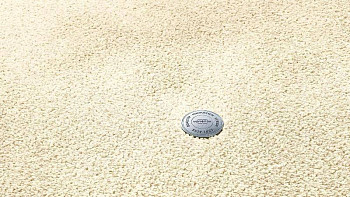 Ковролин Vorwerk Superior 1064/Lyrica Vorwerk 6c68 фото 1 | FLOORDEALER