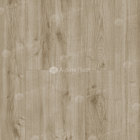 Ламинат Alpine Floor Aqua Life 8мм lf 103-14 Дуб Гент фото 1 | FLOORDEALER