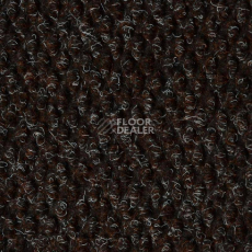 Ковролин Vebe York PD 80 фото 1 | FLOORDEALER