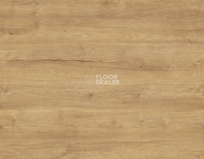 Ламинат Kronotex Exquisit Plus d40432 Дуб Бодега Натуральный фото 1 | FLOORDEALER