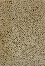 Ковролин Condor Carpets Marriott 172 фото 1 | FLOORDEALER