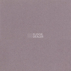 Линолеум Tarkett Acczent Universal Concrete Grey фото 1 | FLOORDEALER