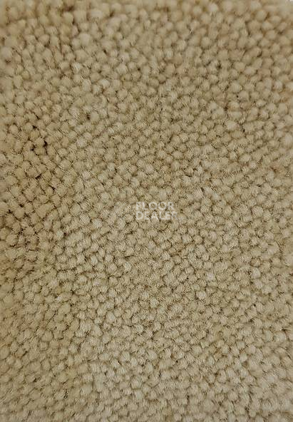 Ковролин Condor Carpets Marriott 172 фото 1 | FLOORDEALER