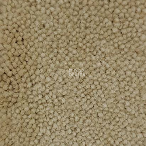 Ковролин Condor Carpets Marriott 172 фото 1 | FLOORDEALER