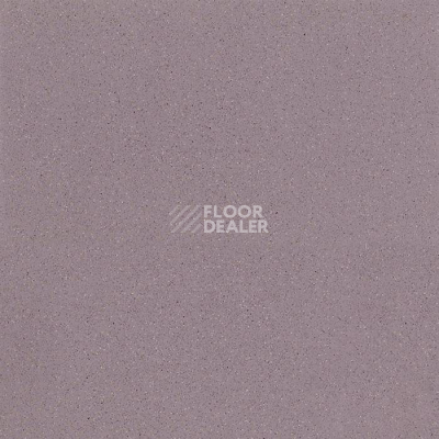 Линолеум Tarkett Acczent Universal Concrete Grey фото 1 | FLOORDEALER