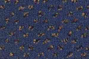 Ковролин Infloor Credo 370 фото  | FLOORDEALER