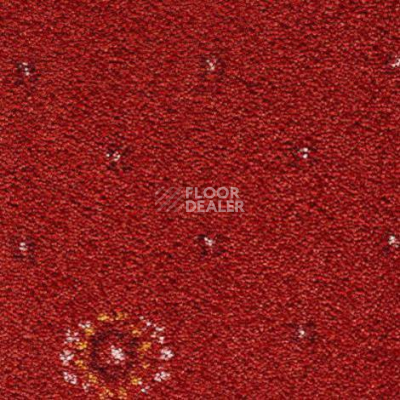 Ковролин Condor Carpets Australia 209 фото 1 | FLOORDEALER