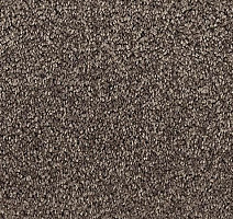 Ковролин Vorwerk Passion 1001 Vorwerk 7f73 фото 1 | FLOORDEALER