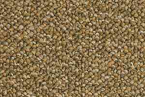 Ковровая плитка Modulyss Perpetual 617 фото  | FLOORDEALER