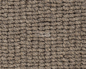 Ковролин Best Wool Pure Livingstone 199 фото 1 | FLOORDEALER
