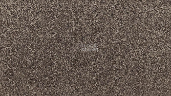 Ковролин Vorwerk Passion 1001 Vorwerk 7f73 фото 1 | FLOORDEALER