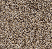 Ковролин AW Perseus 36 фото 1 | FLOORDEALER