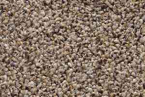 Ковролин AW Perseus 36 фото  | FLOORDEALER