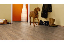 Kronotex Robusto 12мм d4705 Америко Светлый фото 6 | FLOORDEALER