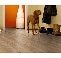 Kronotex Robusto 12мм d4705 Америко Светлый фото 6 | FLOORDEALER