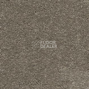 Ковролин AW Vivendi Vibes 37 фото 1 | FLOORDEALER