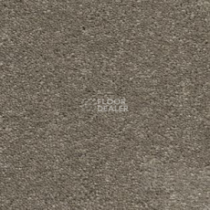 Ковролин AW Vivendi Vibes 37 фото 1 | FLOORDEALER