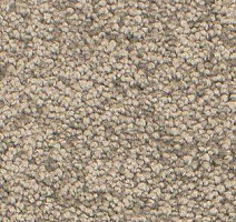 Ковролин AW Gaia Solstice 39 фото 1 | FLOORDEALER