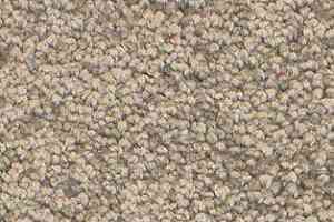 Ковролин AW Gaia Solstice 39 фото  | FLOORDEALER