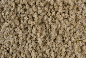 Ковровая плитка ColorKey ColorKey 05 фото 1 | FLOORDEALER