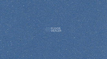 Линолеум Tarasafe Standard 7709_Royal_Blue фото 1 | FLOORDEALER
