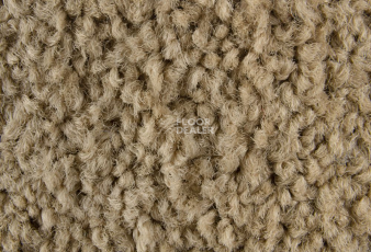 Ковровая плитка ColorKey ColorKey 05 фото 1 | FLOORDEALER