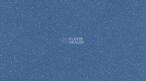 Линолеум Tarasafe Standard 7709_Royal_Blue фото 1 | FLOORDEALER
