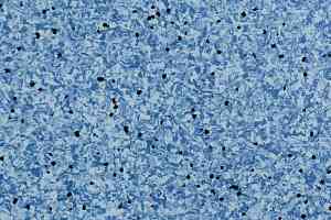 Линолеум Apoluza SportFloor PVC Jiajing BXJJ8001 фото  | FLOORDEALER