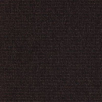 Carpet Concept Eco 1 6629 фото 1 | FLOORDEALER