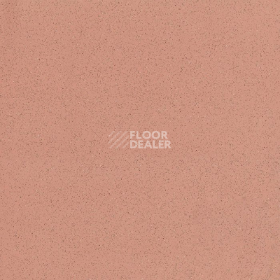 Линолеум Tarkett Acczent Universal Sandy Beige фото 1 | FLOORDEALER