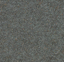 Ковролин Forbo Forte 96012 Nickel фото 1 | FLOORDEALER