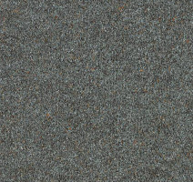 Ковролин Forbo Forte 96012 Nickel фото 1 | FLOORDEALER