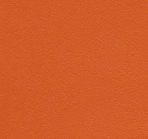 Линолеум Graboflex Start  Plus 4000-665-3 фото 1 | FLOORDEALER