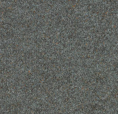 Ковролин Forbo Forte 96012 Nickel фото 1 | FLOORDEALER