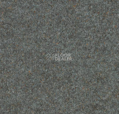 Ковролин Forbo Forte 96012 Nickel фото 1 | FLOORDEALER