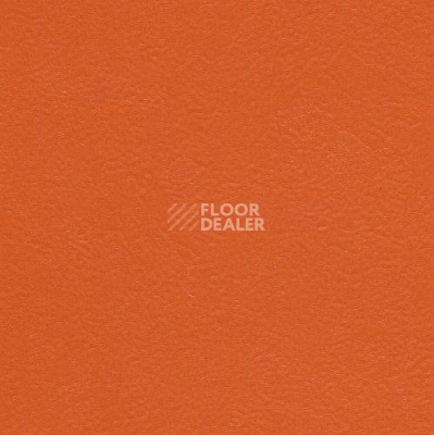 Линолеум Graboflex Start  Plus 4000-665-3 фото 1 | FLOORDEALER