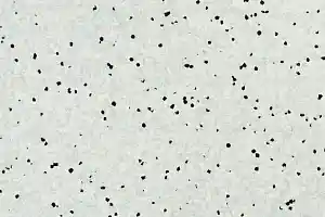 Линолеум Apoluza Jiajing BXJJ 8012 фото  | FLOORDEALER