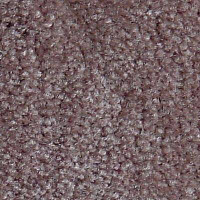 Ковролин Serene Beaulieu of America 09 фото 1 | FLOORDEALER