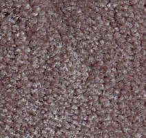 Ковролин Serene Beaulieu of America 09 фото 1 | FLOORDEALER