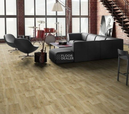 Tarkett Absolut HELFORD 2 фото 2 | FLOORDEALER