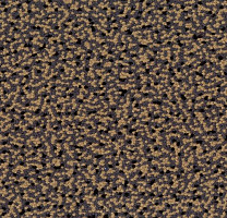 Ковровая плитка Westbond Flex Nf 92151 фото 1 | FLOORDEALER