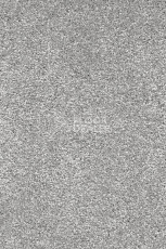 Ковролин AW Promenade 91 фото 1 | FLOORDEALER