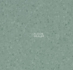 Линолеум Forbo Sphera Element 50077 kelp фото 1 | FLOORDEALER