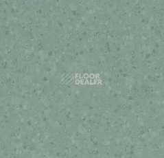 Линолеум Forbo Sphera Element 50077 kelp фото 1 | FLOORDEALER