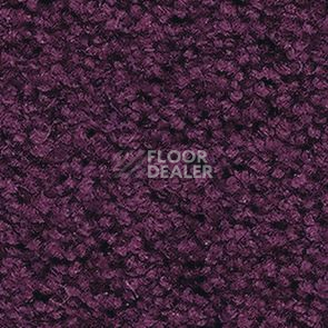 Ковролин Balsan Les First Les First 881 фото 1 | FLOORDEALER