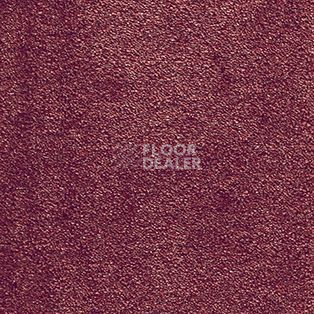 Ковролин AW Seduction 11 фото 1 | FLOORDEALER