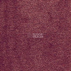 Ковролин AW Seduction 11 фото 1 | FLOORDEALER